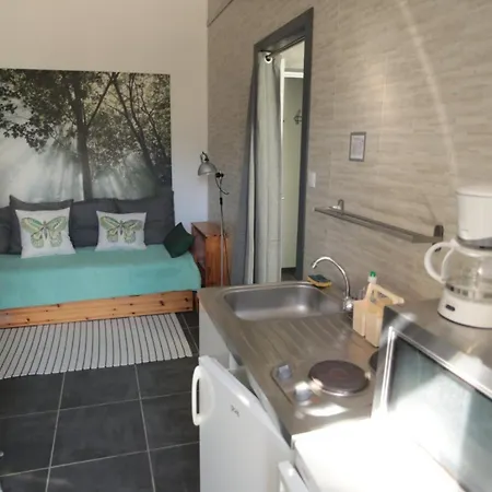 דירה Avec Terrasse Privative Mevouillon