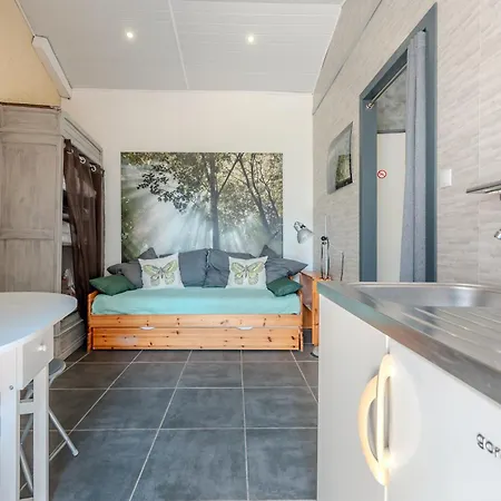 - Piscine Et Terrasse